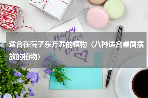 适合在院子东方养的植物（八种适合桌面摆放的植物）