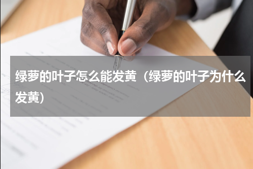 绿萝的叶子怎么能发黄（绿萝的叶子为什么发黄）