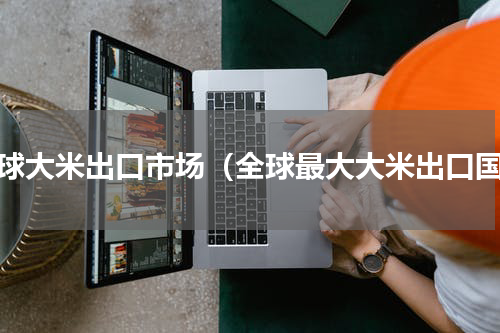 全球大米出口市场（全球最大大米出口国）