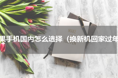 苹果手机国内怎么选择（换新机回家过年）