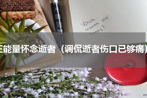 正能量怀念逝者（调侃逝者伤口已够痛）