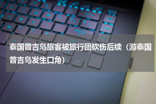 泰国普吉岛旅客被旅行团砍伤后续（游泰国普吉岛发生口角）