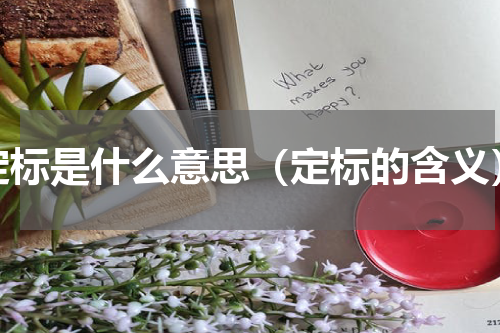 定标是什么意思（定标的含义）