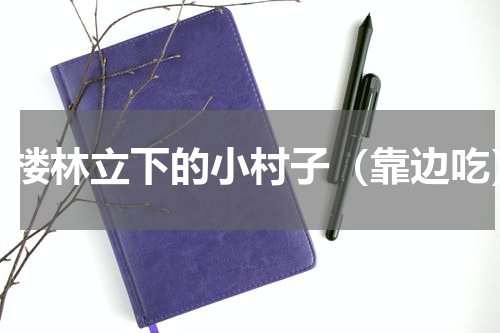 高楼林立下的小村子（靠边吃）