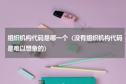 组织机构代码是哪一个（没有组织机构代码是难以想象的）