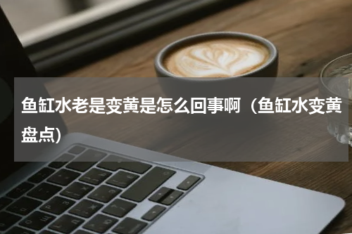 鱼缸水老是变黄是怎么回事啊（鱼缸水变黄盘点）