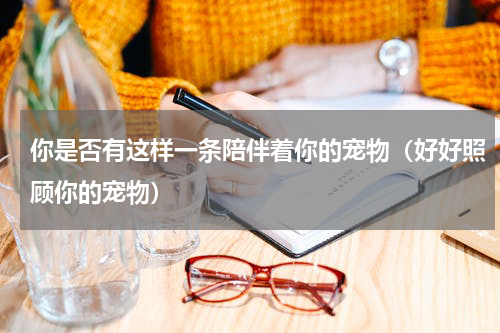 你是否有这样一条陪伴着你的宠物（好好照顾你的宠物）