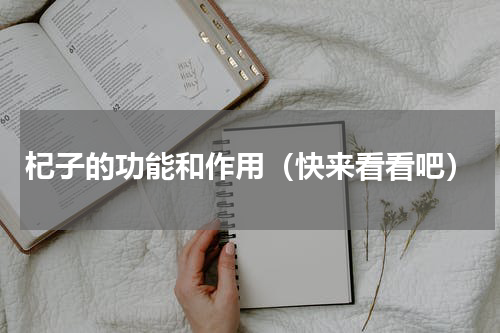 杞子的功能和作用（快来看看吧）