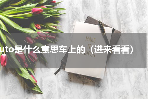 auto是什么意思车上的（进来看看）
