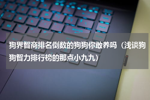 狗界智商排名倒数的狗狗你敢养吗（浅谈狗狗智力排行榜的那点小九九）