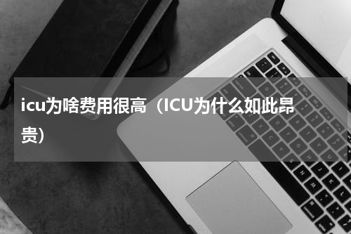 icu为啥费用很高（ICU为什么如此昂贵）