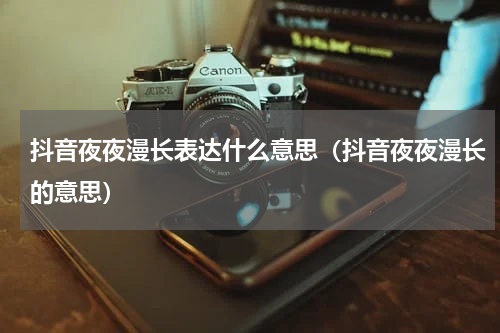 抖音夜夜漫长表达什么意思（抖音夜夜漫长的意思）