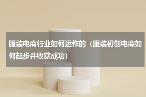 服装电商行业如何运作的（服装初创电商如何起步并收获成功）