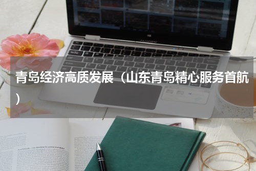 青岛经济高质发展（山东青岛精心服务首航）