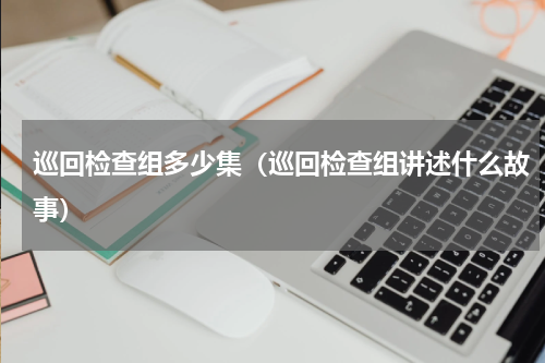 巡回检查组多少集（巡回检查组讲述什么故事）