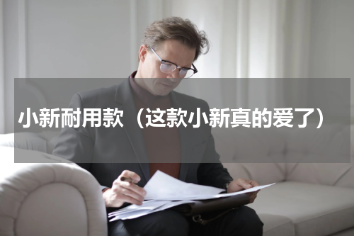 小新耐用款（这款小新真的爱了）