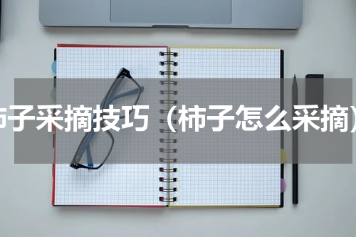 柿子采摘技巧（柿子怎么采摘）
