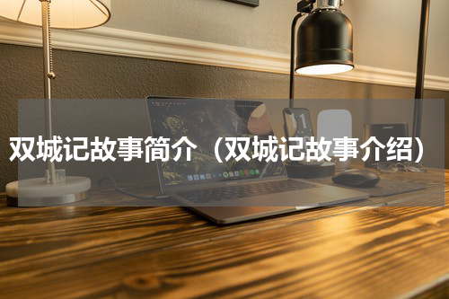 双城记故事简介（双城记故事介绍）