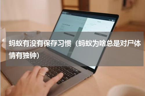 蚂蚁有没有保存习惯（蚂蚁为啥总是对尸体情有独钟）