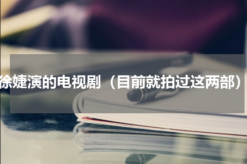 徐婕演的电视剧（目前就拍过这两部）