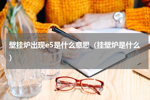 壁挂炉出现e5是什么意思（挂壁炉是什么）