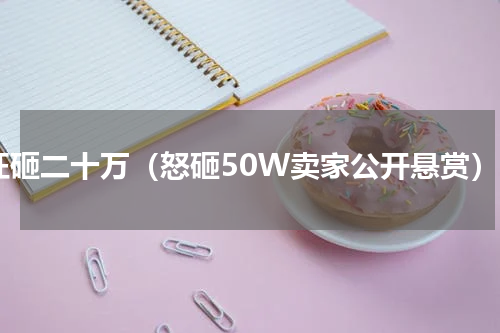 狂砸二十万（怒砸50W卖家公开悬赏）