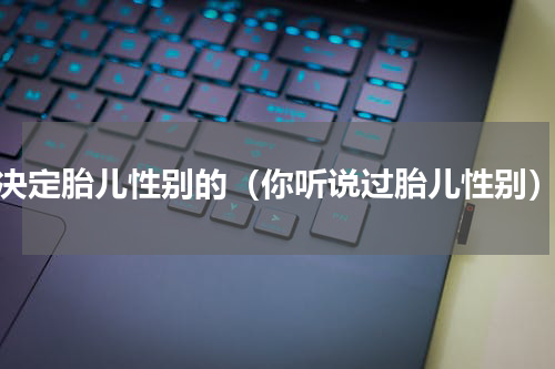 决定胎儿性别的（你听说过胎儿性别）