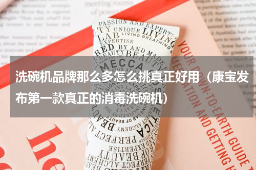 洗碗机品牌那么多怎么挑真正好用（康宝发布第一款真正的消毒洗碗机）