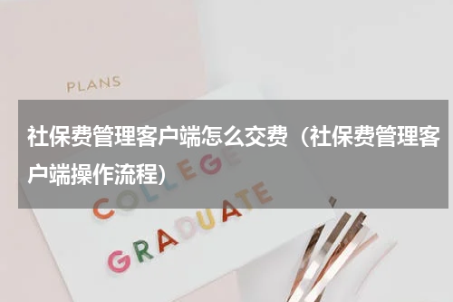 社保费管理客户端怎么交费（社保费管理客户端操作流程）