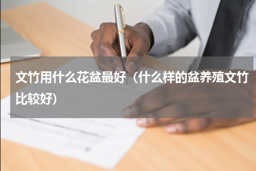 文竹用什么花盆最好（什么样的盆养殖文竹比较好）