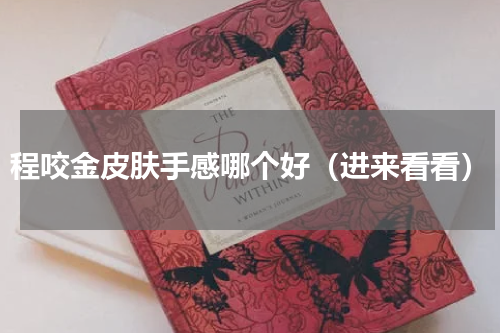 程咬金皮肤手感哪个好（进来看看）
