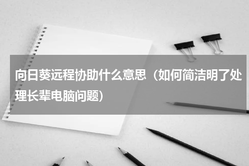 向日葵远程协助什么意思（如何简洁明了处理长辈电脑问题）