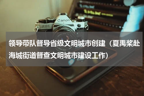 领导带队督导省级文明城市创建（夏禹桨赴海城街道督查文明城市建设工作）