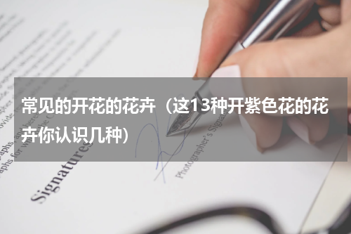 常见的开花的花卉（这13种开紫色花的花卉你认识几种）