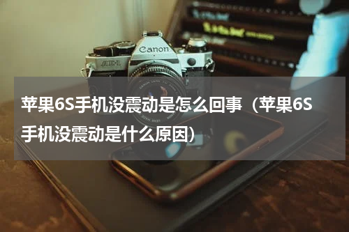 苹果6S手机没震动是怎么回事（苹果6S手机没震动是什么原因）