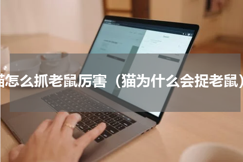 猫怎么抓老鼠厉害（猫为什么会捉老鼠）