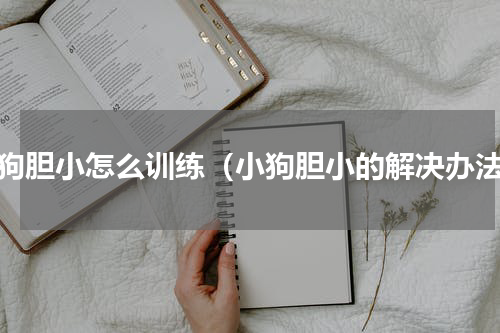狗狗胆小怎么训练（小狗胆小的解决办法）