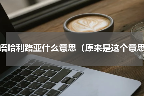韩语哈利路亚什么意思（原来是这个意思）