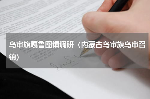 乌审旗嘎鲁图镇调研（内蒙古乌审旗乌审召镇）