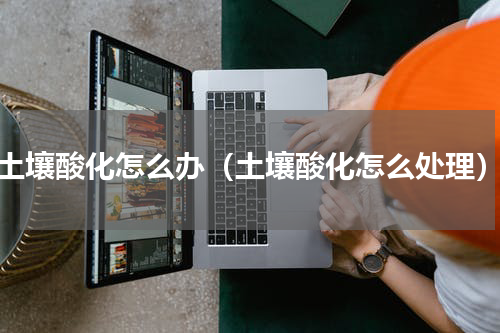 土壤酸化怎么办（土壤酸化怎么处理）
