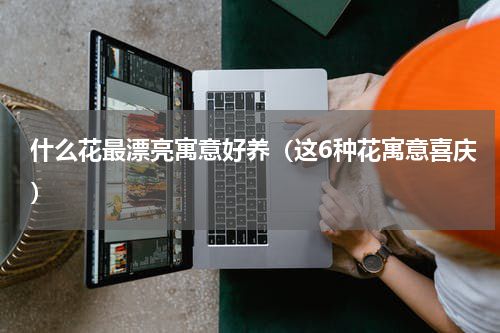 什么花最漂亮寓意好养（这6种花寓意喜庆）