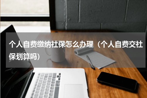 个人自费缴纳社保怎么办理（个人自费交社保划算吗）