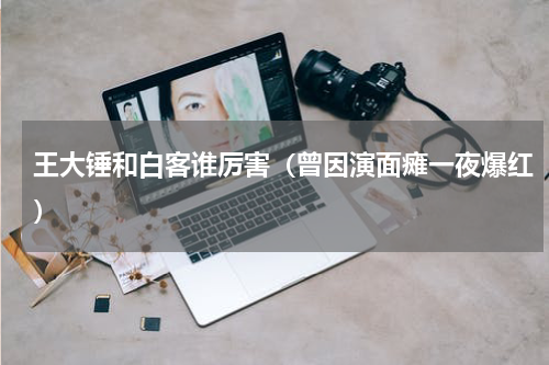 王大锤和白客谁厉害（曾因演面瘫一夜爆红）