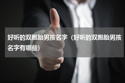 好听的双胞胎男孩名字（好听的双胞胎男孩名字有哪些）