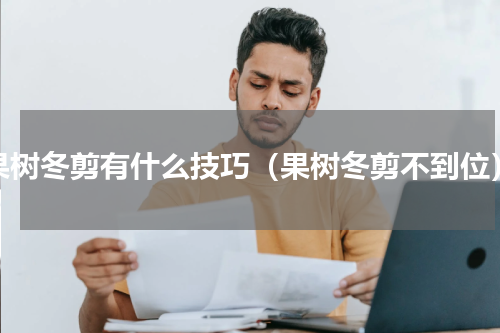 果树冬剪有什么技巧（果树冬剪不到位）