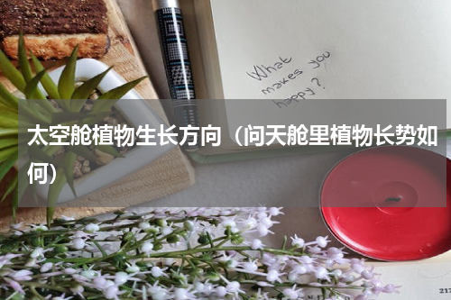 太空舱植物生长方向（问天舱里植物长势如何）