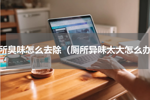 厕所臭味怎么去除（厕所异味太大怎么办）