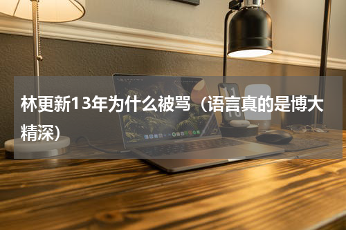 林更新13年为什么被骂（语言真的是博大精深）