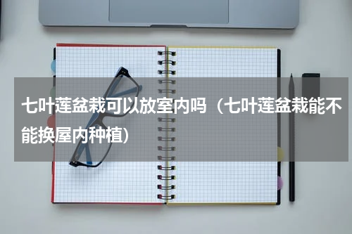 七叶莲盆栽可以放室内吗（七叶莲盆栽能不能换屋内种植）