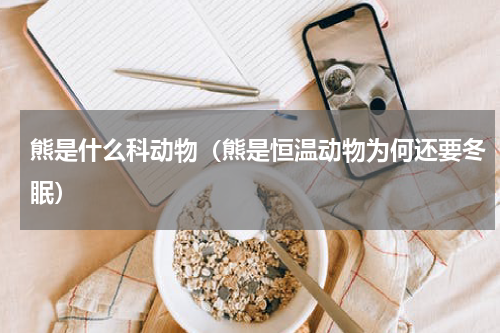熊是什么科动物（熊是恒温动物为何还要冬眠）